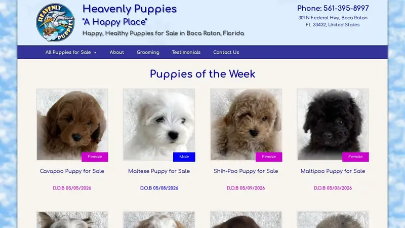 Heavenly Puppies preview