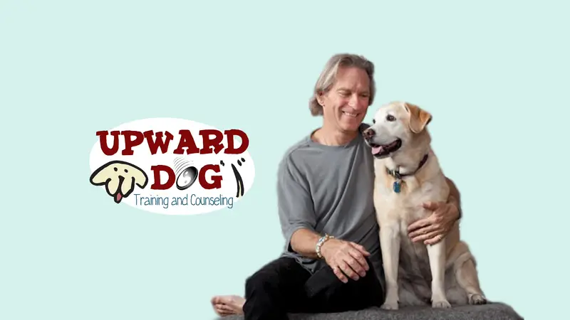 Upward Dog Training & Counseling preview