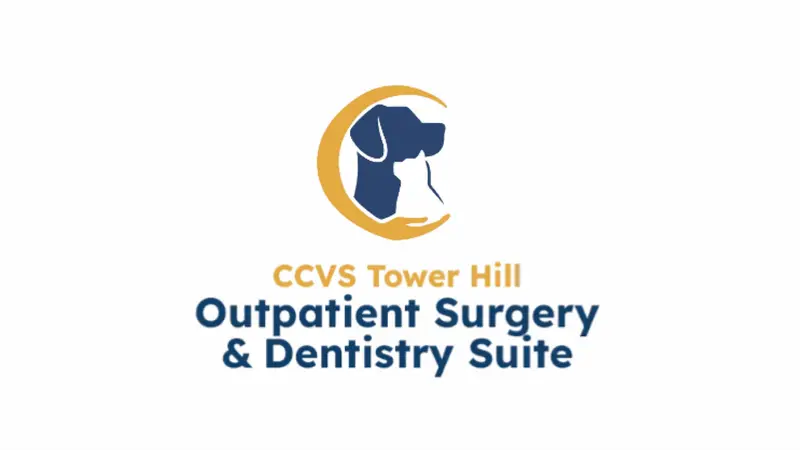 CCVS Outpatient - Tower Hill preview