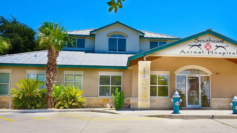 Southeast Veterinary Hospital preview