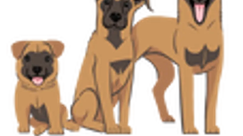 I Heart K9 preview