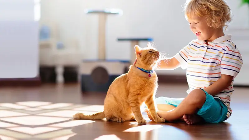 Las Vegas Animal Emergency Hospital preview