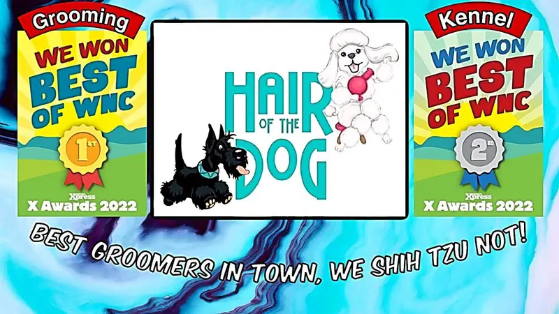 Hair of The Dog Pet Salon preview