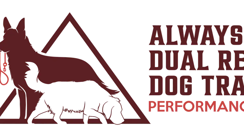 Always On Cue Dog Training preview