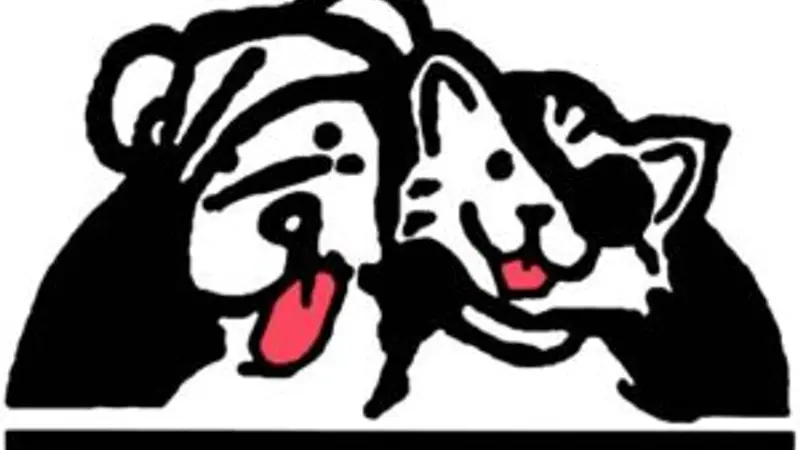 Emergency Vet Clinic preview