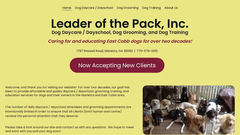 Leader of the Pack preview