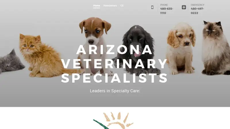 Southwest Veterinary Surgical Service PC preview