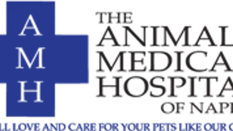 Animal Medical Hospital of Naples preview