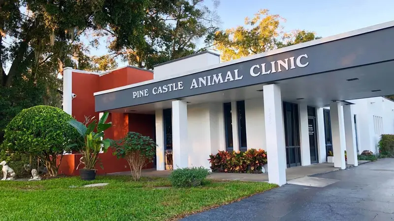 Pine Castle Animal Clinic preview