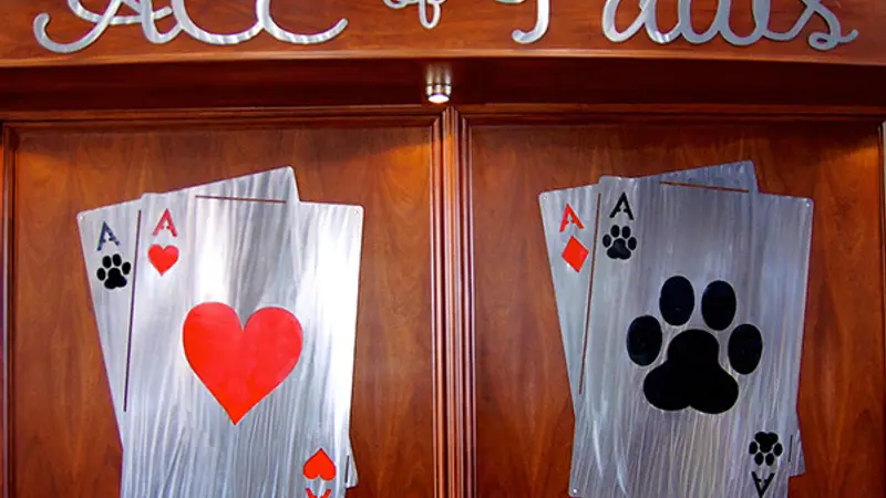 ACE of Paws preview