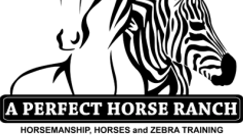 A Perfect Horse Ranch preview