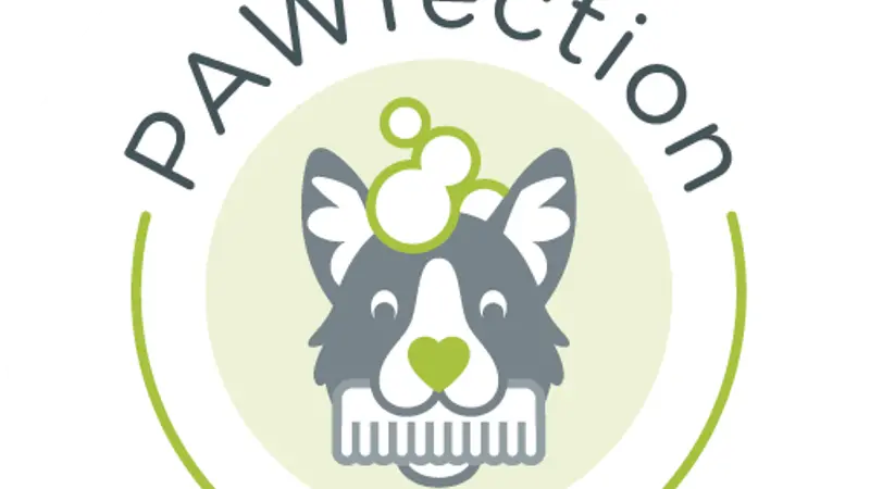 Pawfection Salon NC preview