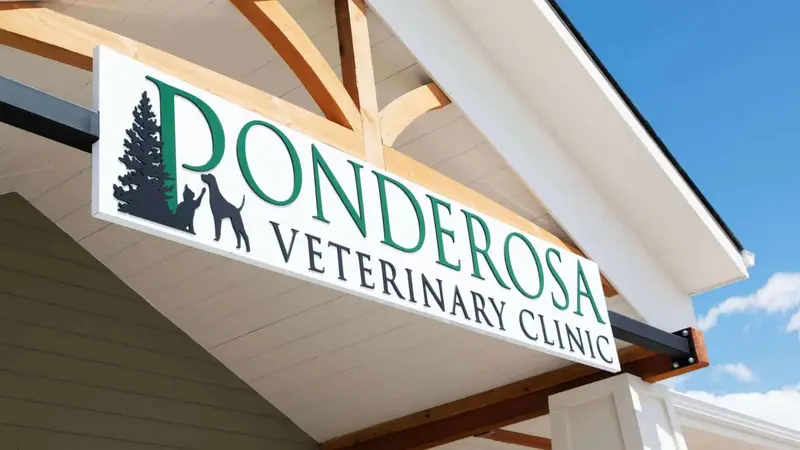 Ponderosa Veterinary Clinic preview