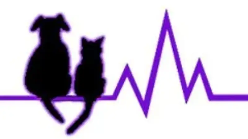 Southwest Veterinary Hospital preview