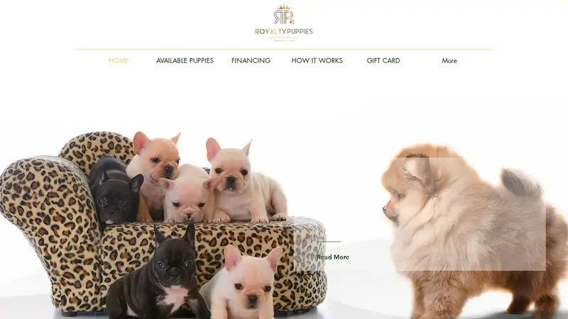 Royalty Puppies preview