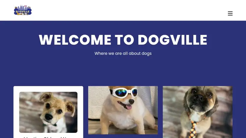 Dogville Nashville preview