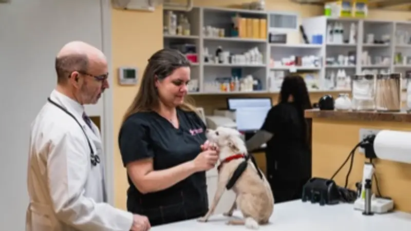 Harbourside Animal Hospital preview