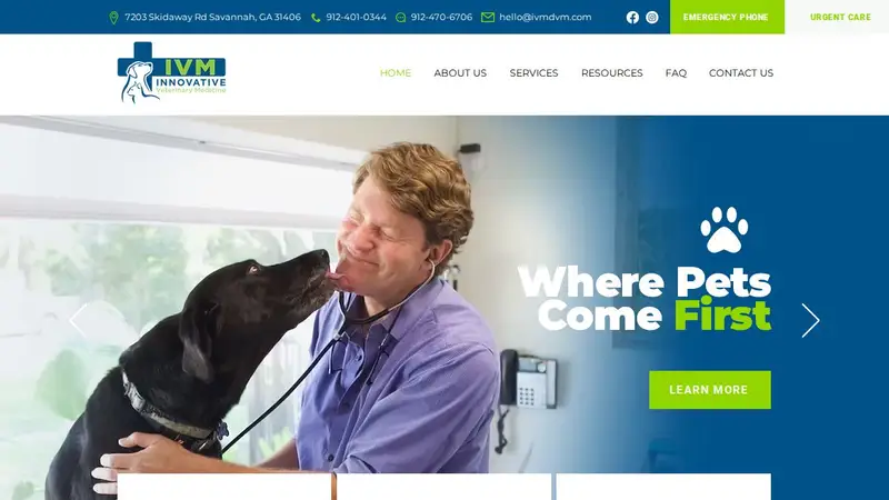 Innovative Veterinary Medicine preview