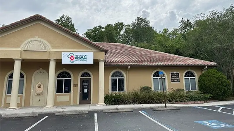 Tampa Palms Animal Hospital preview