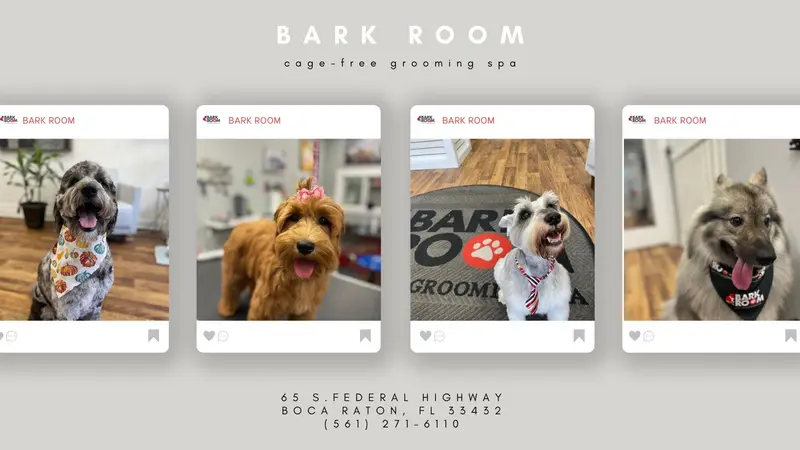 Bark Room preview
