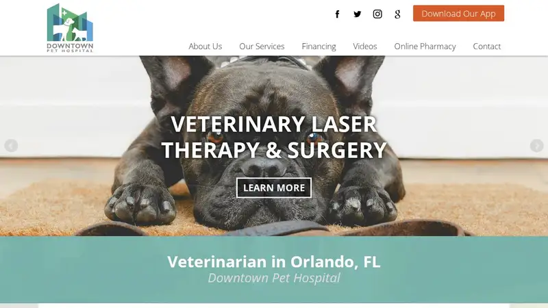 Downtown Pet Hospital preview