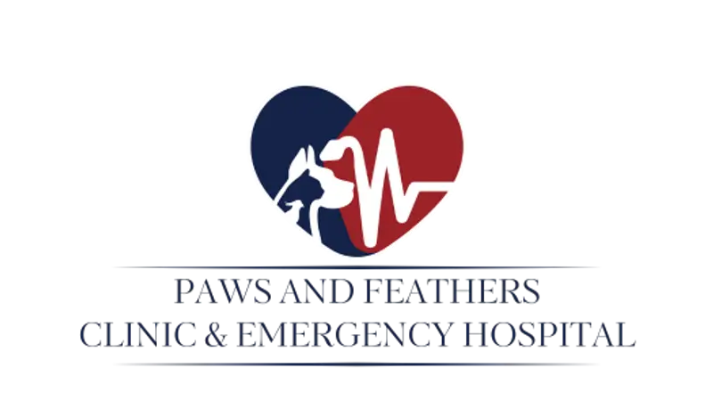 Paws and Feathers Veterinary Clinic preview