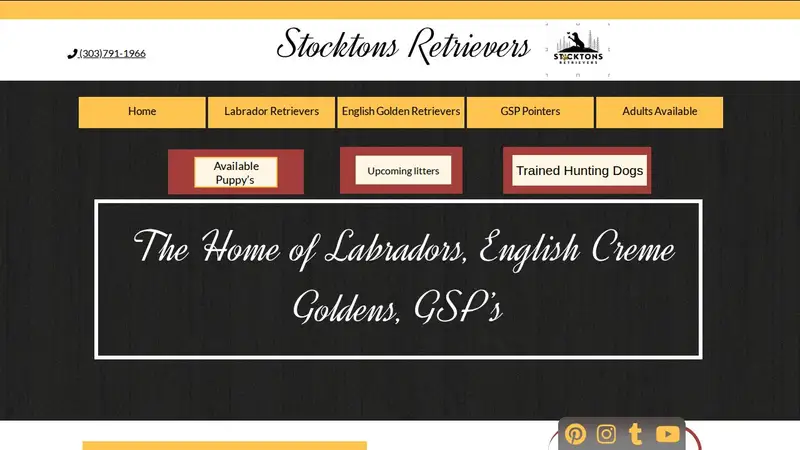 Stockton's Plum Creek Stables Ltd preview