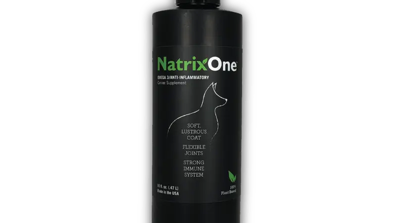 NatrixOne Headquarters preview