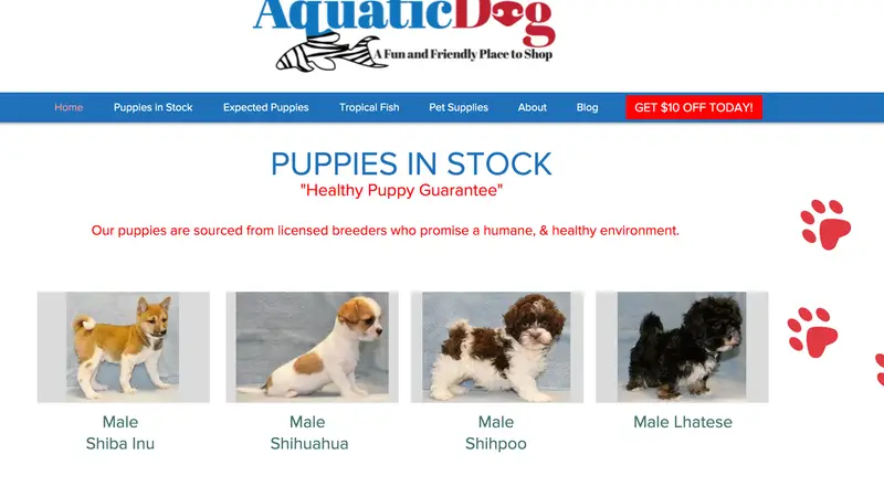 AquaticDog, Pets + Supplies! preview