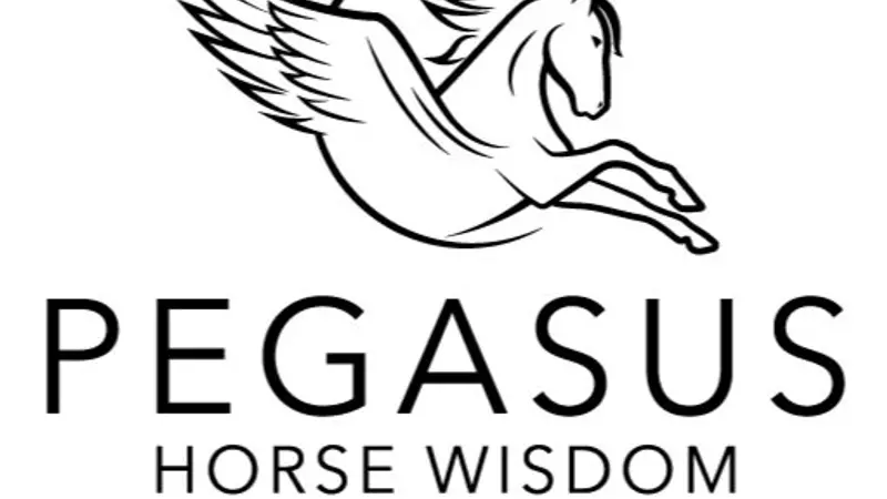 Pegasus Horse Wisdom preview