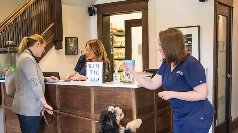 Animal Medical Center of Chicago preview