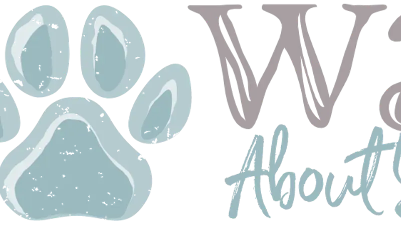 Wags About You - Boca Raton preview