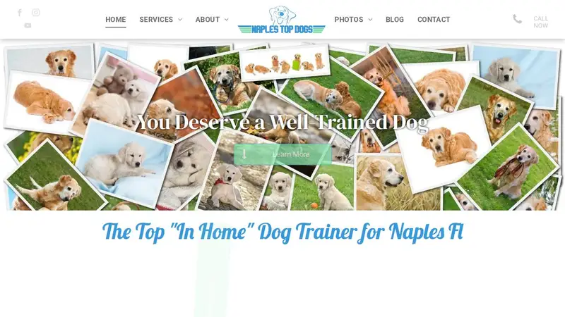 Naples Top Dogs: The Premier "In Home" Dog Trainers preview