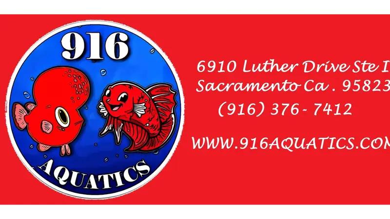 916 Aquatics preview