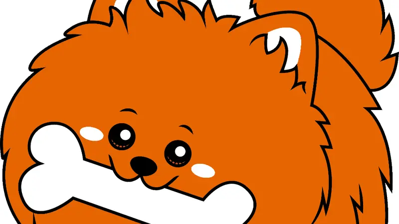 Petworks preview