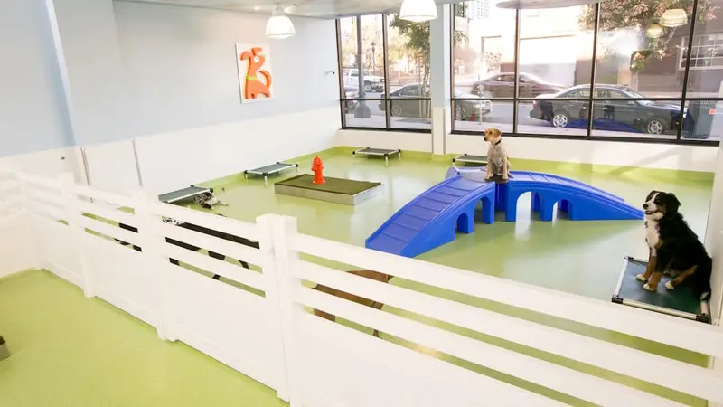 Citydog! Club preview