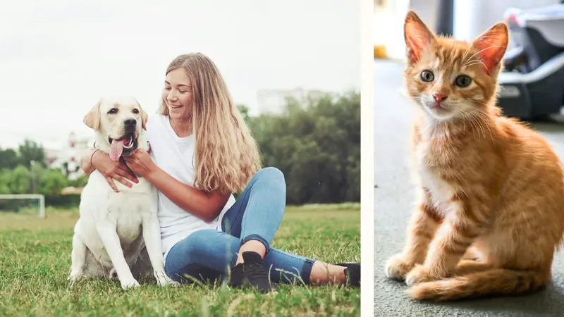 Monte Vista Animal Hospital preview