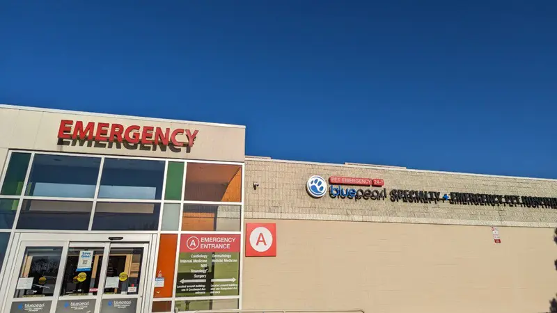 Dogwood Veterinary Emergency & Specialty Center preview
