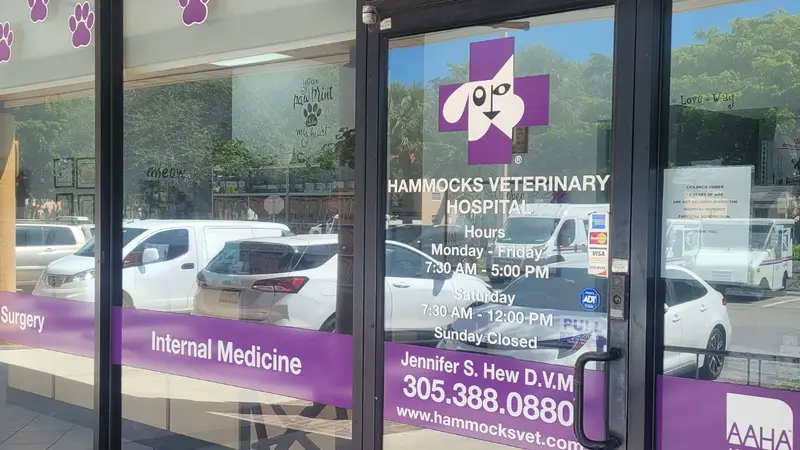 Hammocks Veterinary Hospital preview
