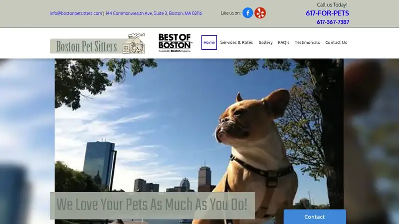 Boston Pet Sitters preview