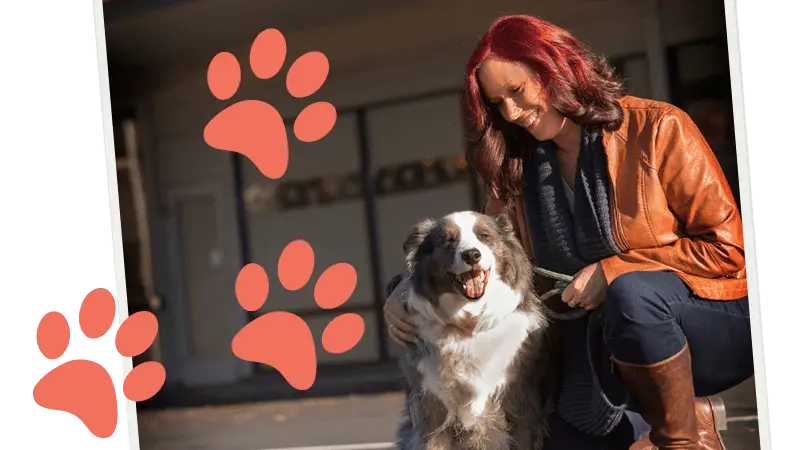 North Seattle Veterinary Clinic preview