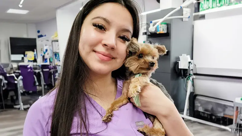 STATVet Animal Urgent Care at Riverside preview