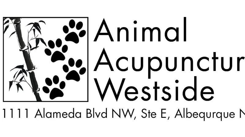 Animal Acupuncture Westside preview
