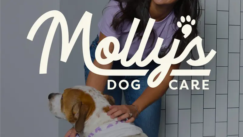 Molly's Dog Care Walter Reed preview