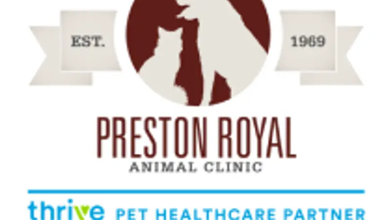 Preston Royal Animal Clinic, A Thrive Pet Healthcare Partner preview