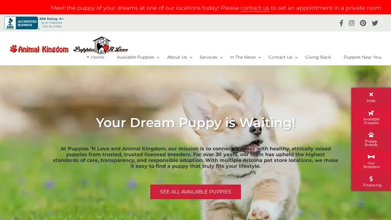 Puppies-N-Love preview