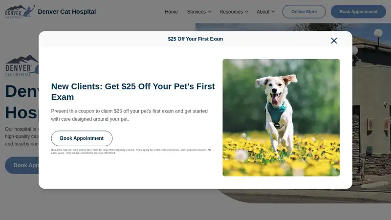 Denver Cat Hospital preview