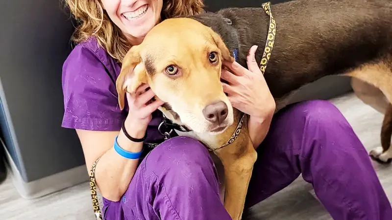 STATVet Animal Urgent Care preview