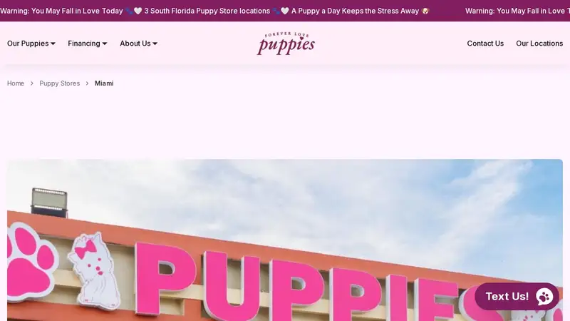 Forever Love Puppies - MOVED TO 12767 Kendall Drive, Miami preview