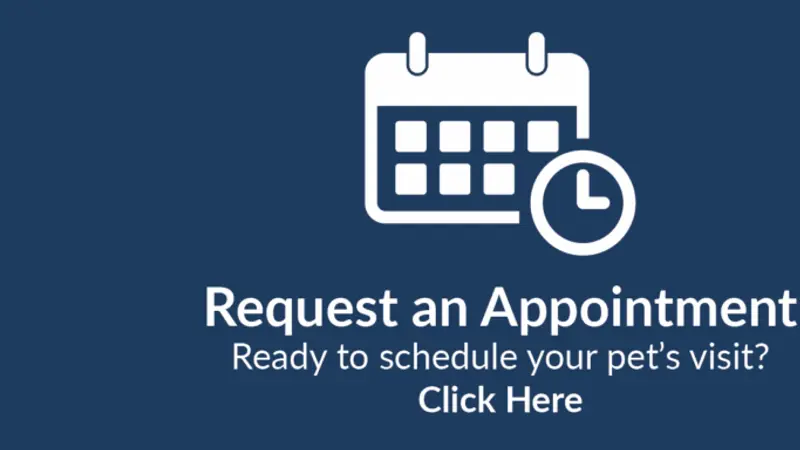Stony Brook Animal Hospital preview